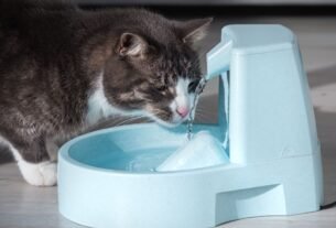 Bebedouro para gatos