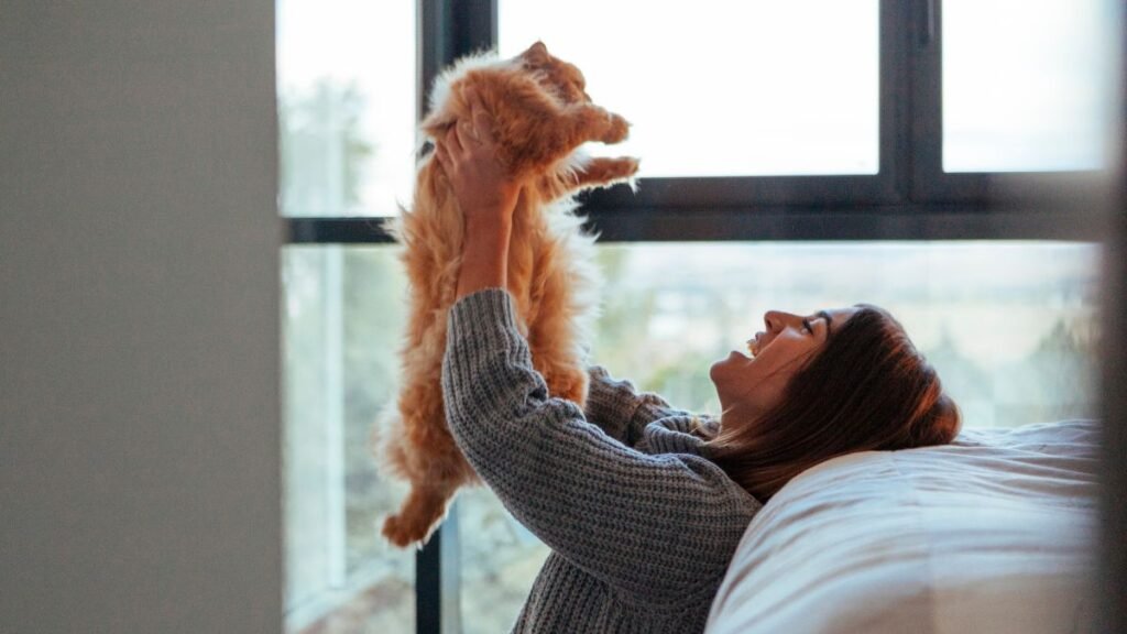 Saúde do Gato: Guia Completo para uma Vida Longa e Saudável 2 bem-estar emocional do gato