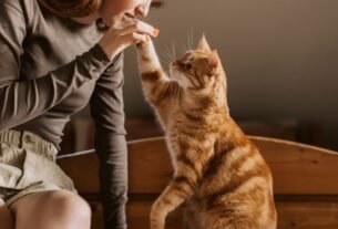 Clicker training para gatos