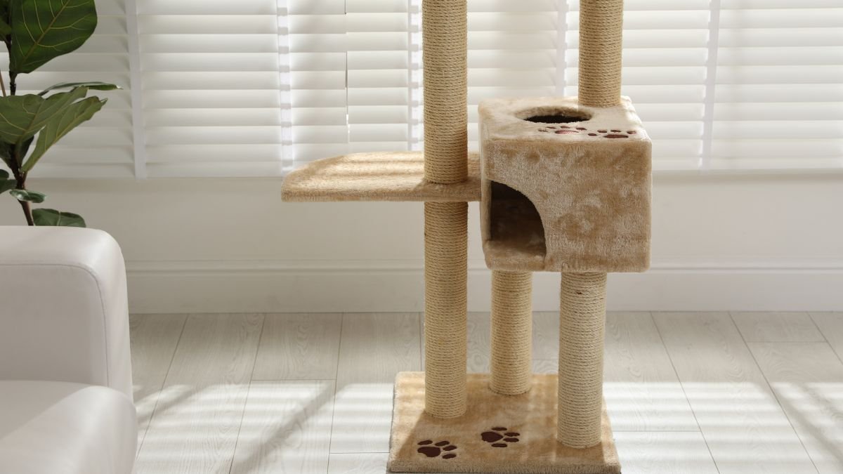 Enriquecimento Ambiental Para Gatos em Apartamento 1 enriquecimento ambiental para gatos