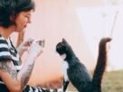 Gato vir quando chamado