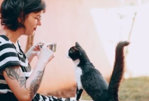 Gato vir quando chamado