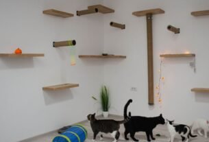 Playground para gatos