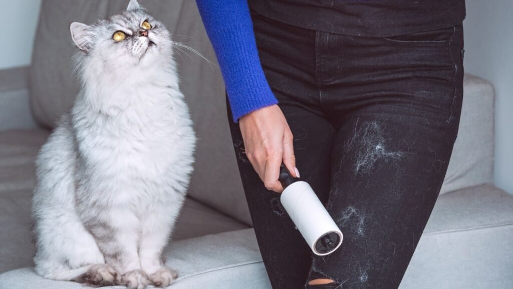 Pelo de Gato em Apartamento Pequeno: Itens Para Rotina de Limpeza 2 Luva removedora ou rolo adesivo