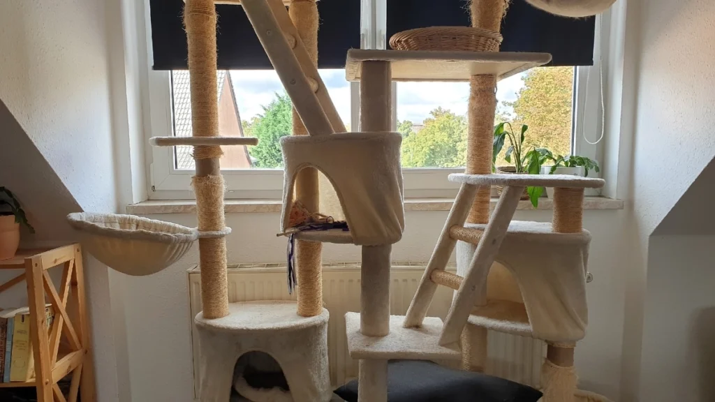 Bem-Estar Felino: O Guia Completo para Garantir Saúde, Conforto e Qualidade de Vida ao Seu Gato 3 Ambiente ideal para gatos que vivem em apartamento