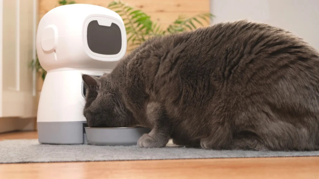 Tecnologia para Gatos: Câmeras, Comedouros Automáticos e Bebedouros Inteligentes 2 Comedouros automáticos como funcionam e quando valem a pena