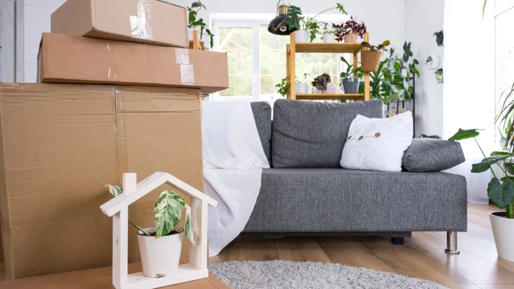 Raças de Gato para Apartamento: Guia Completo para Escolher a Ideal para o Seu Estilo de Vida 4 Como preparar o apartamento antes de trazer o gato para casa