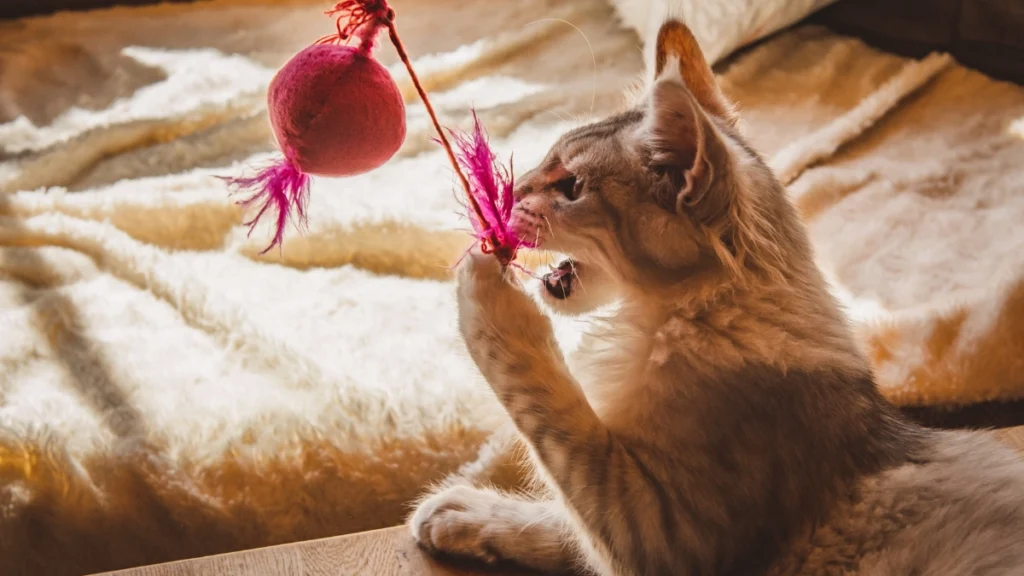 Bem-Estar Felino: O Guia Completo para Garantir Saúde, Conforto e Qualidade de Vida ao Seu Gato 7 Enriquecimento ambiental e estímulo mental