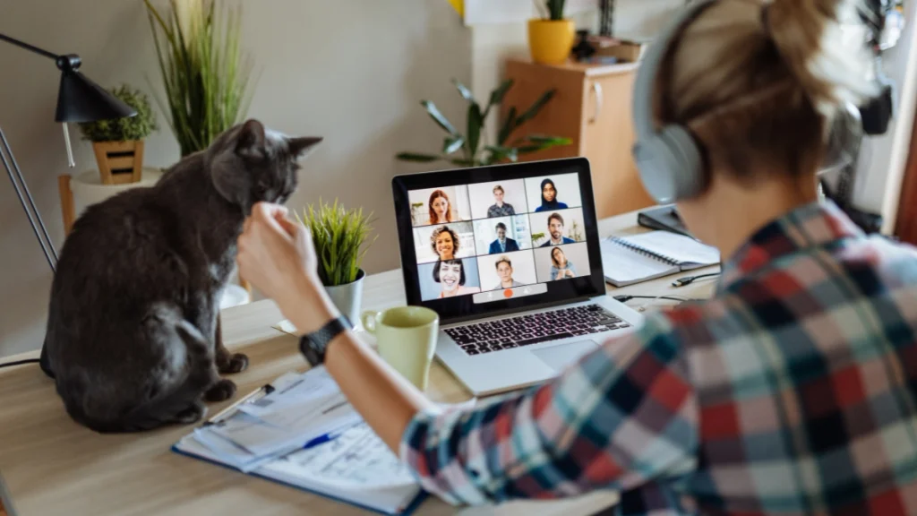 Gato e home office desafios de ter o tutor o dia inteiro em casa